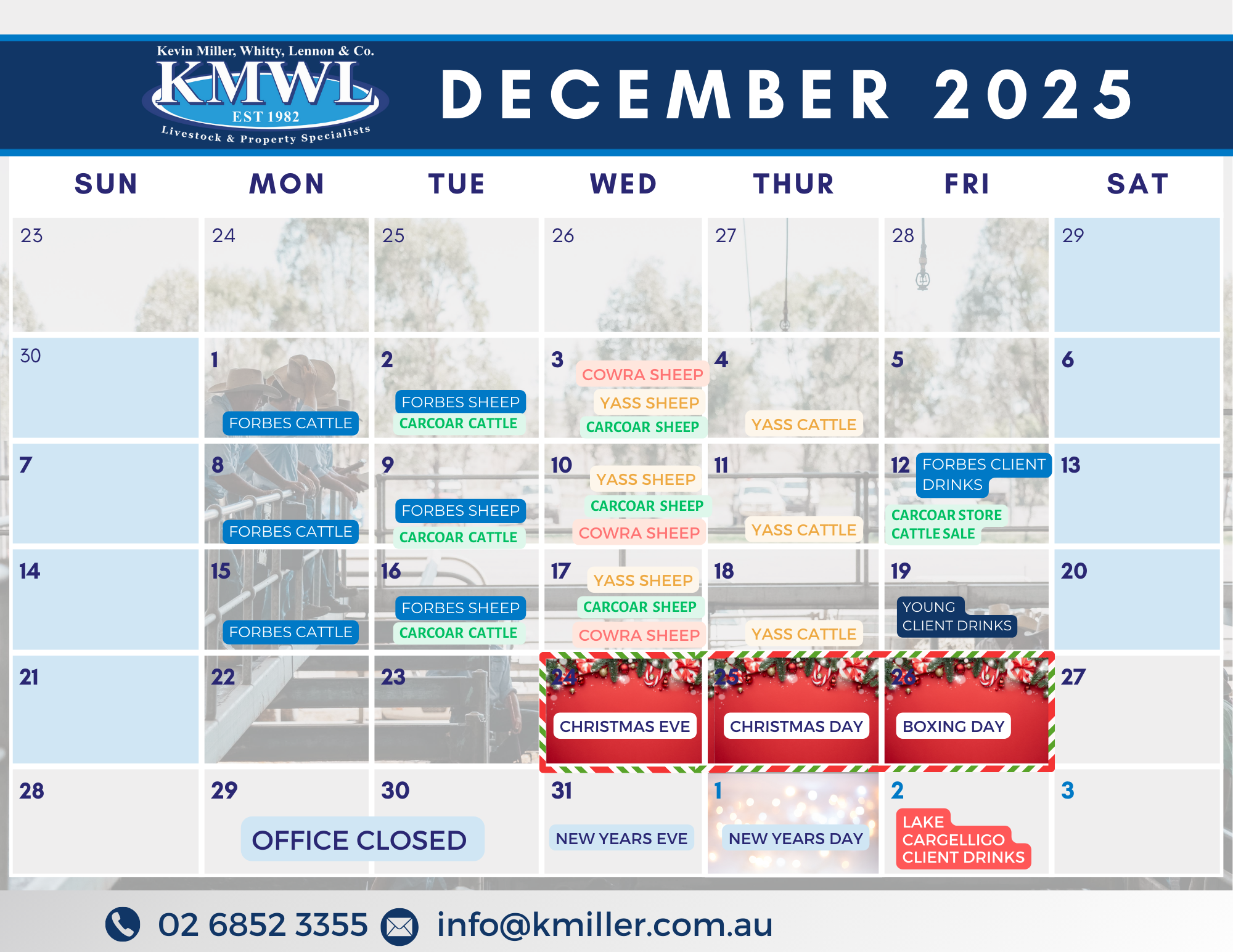 Minimalist Printable 2025 Monthly Planner US Letter Document